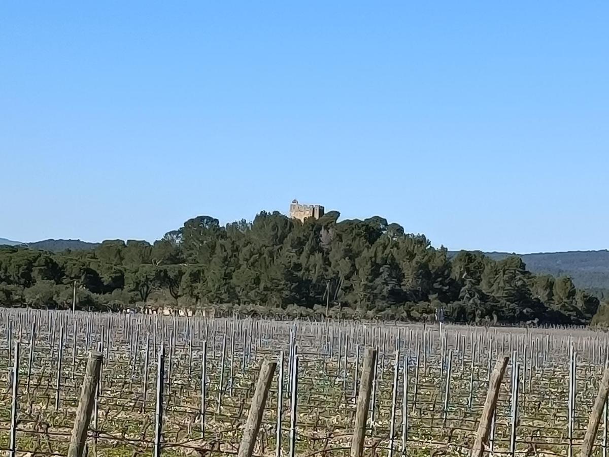 Serge Le Belge Sejour Homestay Lezignan-Corbieres