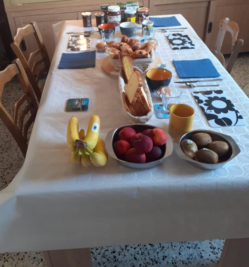 Séjour chez l'habitant Serge Le Belge Sejour