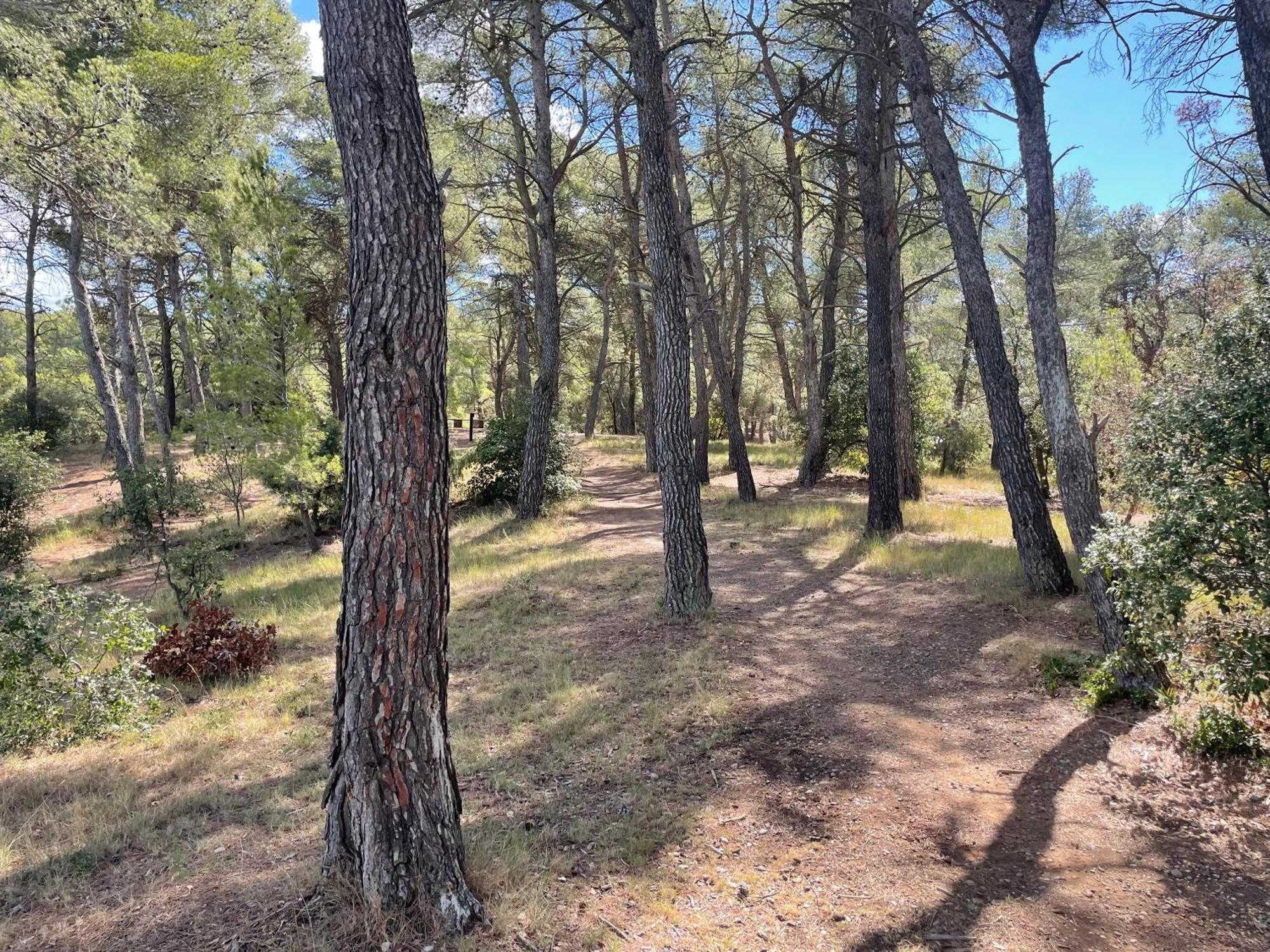 Homestay Serge Le Belge Sejour Lezignan-Corbieres